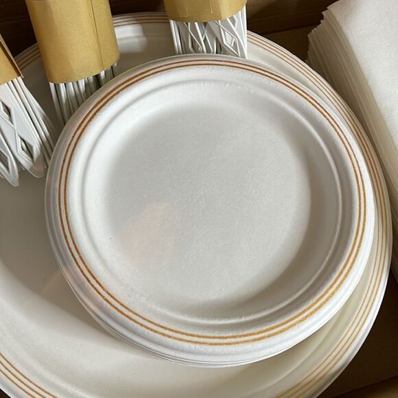 Eco Nudge Disposable Dining Set serves 25 guests Eco Friendly Biodegradable - Picture 6 of 8